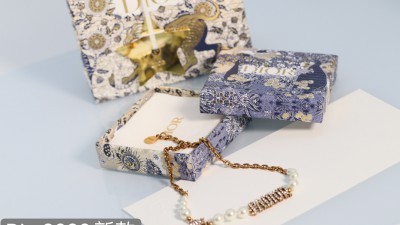 디ㅇ 자도르 초커 목걸이