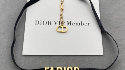 디ㅇ 자도르 초커 목걸이