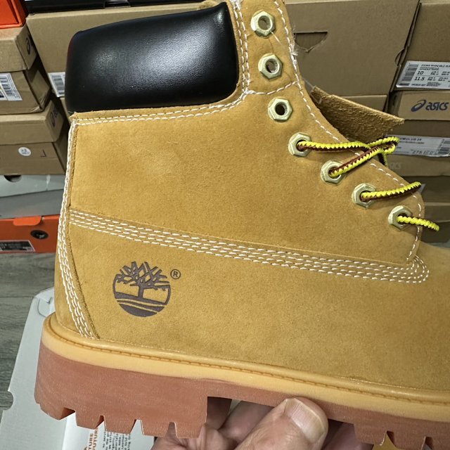 92b987b1934148517342d83f189acb31_1769015931_6723.jpg 92b987b1934148517342d83f189acb31_1769015931_6723.jpg