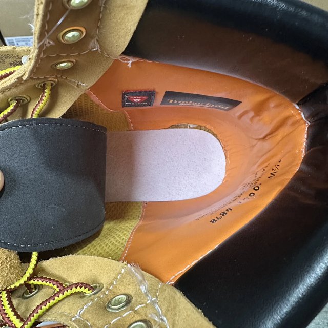 92b987b1934148517342d83f189acb31_1769015932_9776.jpg 92b987b1934148517342d83f189acb31_1769015932_9776.jpg