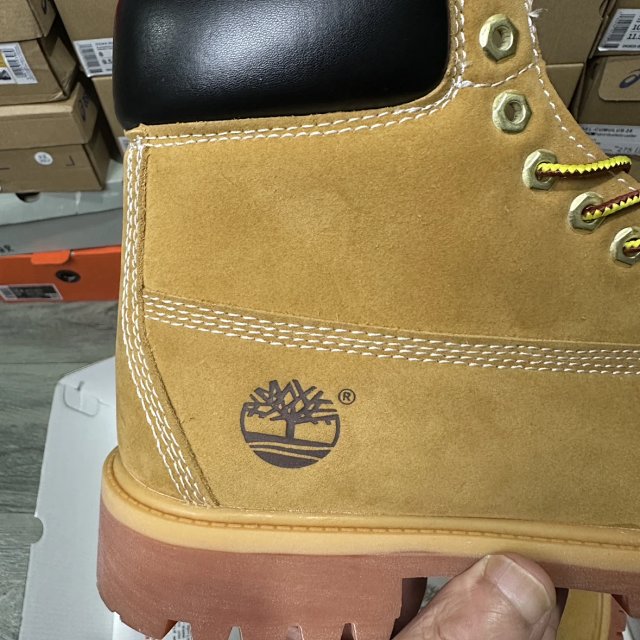 92b987b1934148517342d83f189acb31_1769015933_0451.jpg 92b987b1934148517342d83f189acb31_1769015933_0451.jpg