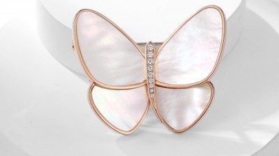 반ㅋ리프 버터플라이 클립